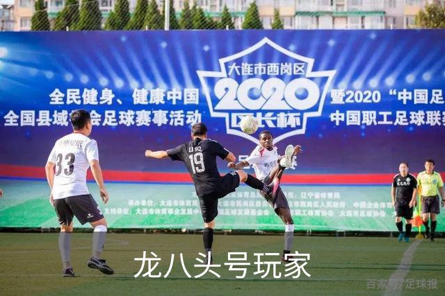 龙八头号玩家公司简介